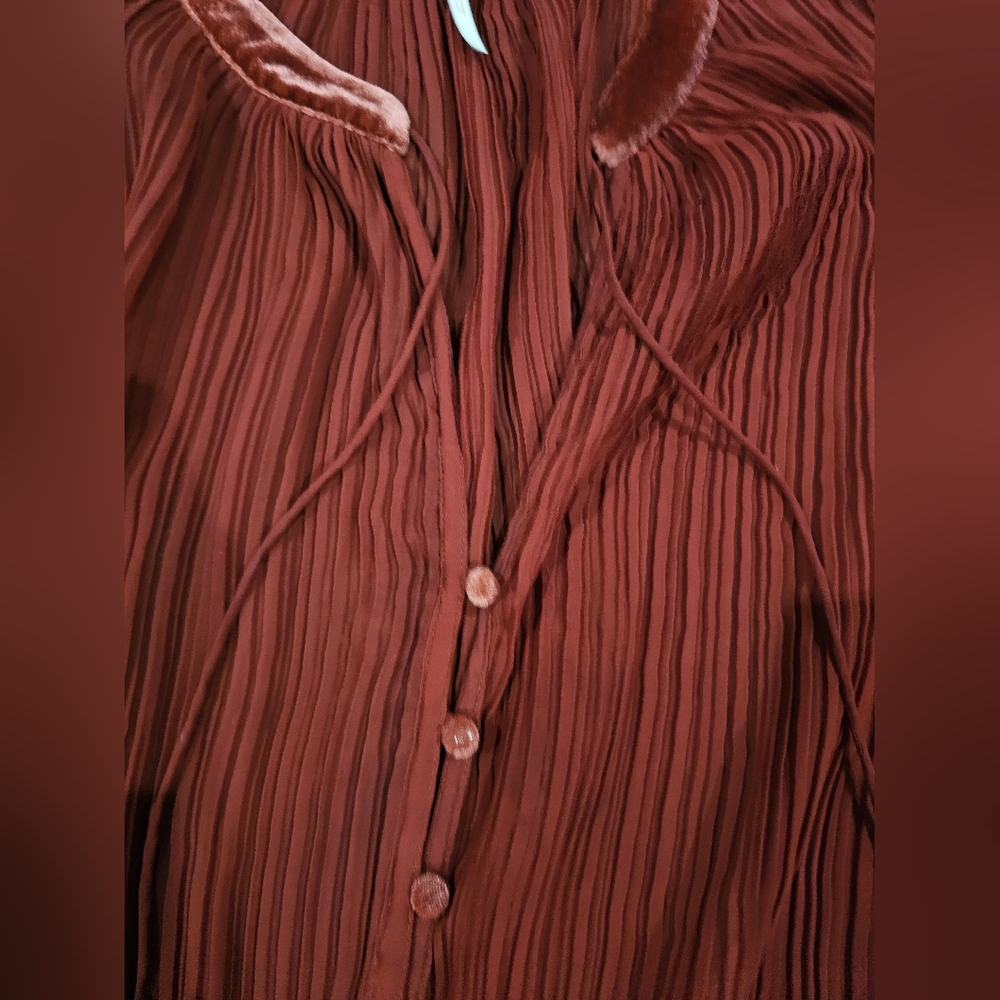 Free People Bohemian Peasant Sheer Pleated Velvet Trim Blouse Top Sz L - Picture 4 of 4